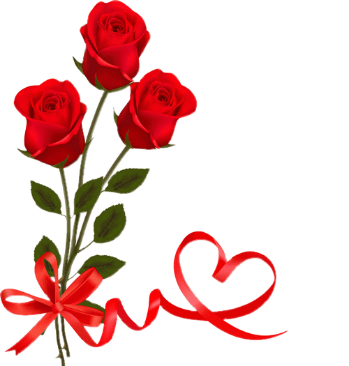 Rose Valentines Love Day Transparent PNG Image