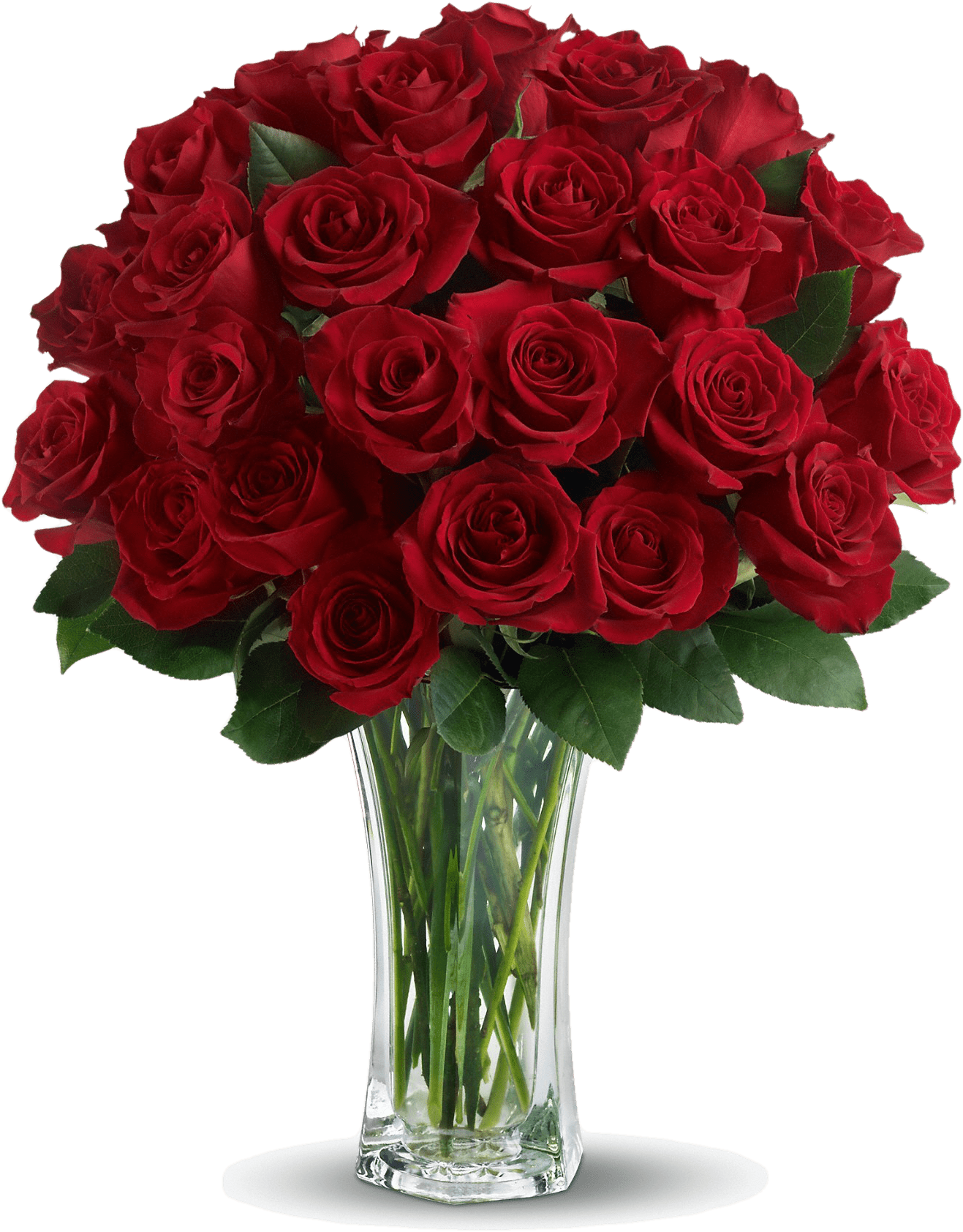 Rose Valentines Day Transparent PNG Image