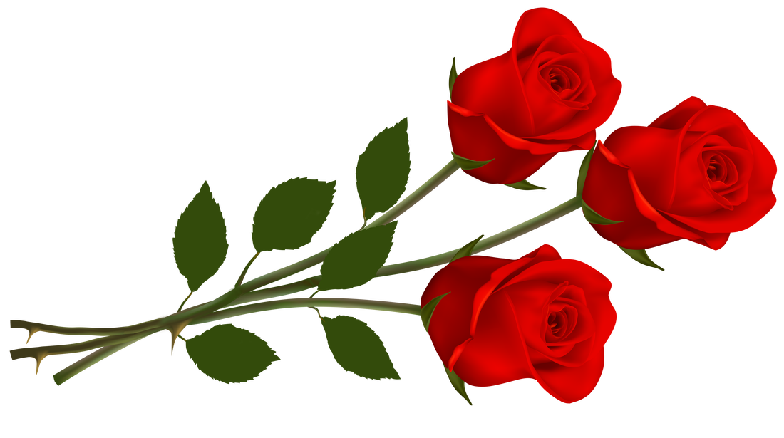 Rose Valentines Day Transparent PNG Image