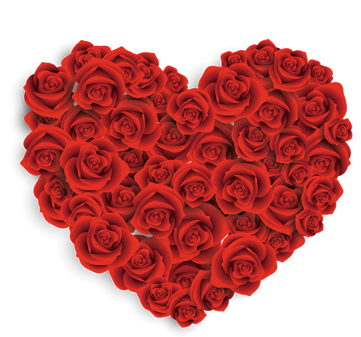 Rose Valentines Day Transparent PNG Image