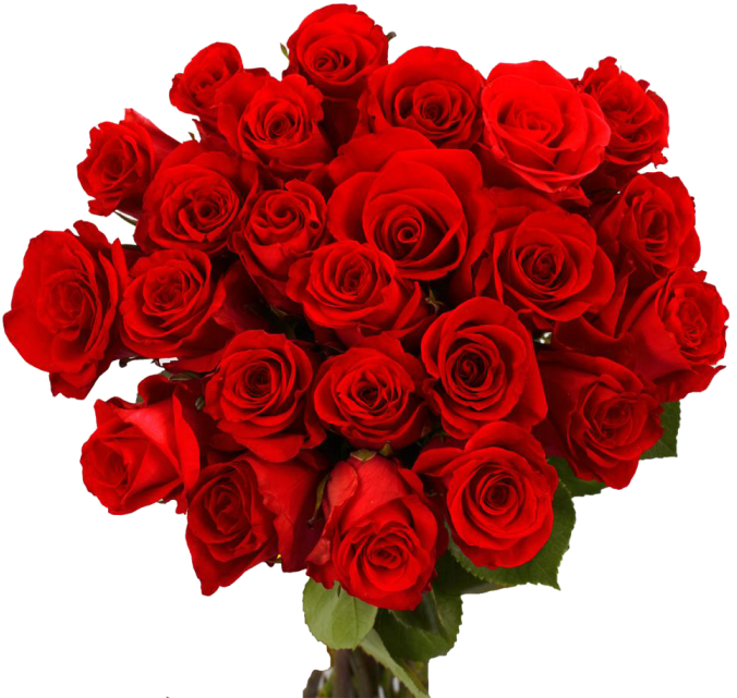 Rose Valentines Day Transparent PNG Image