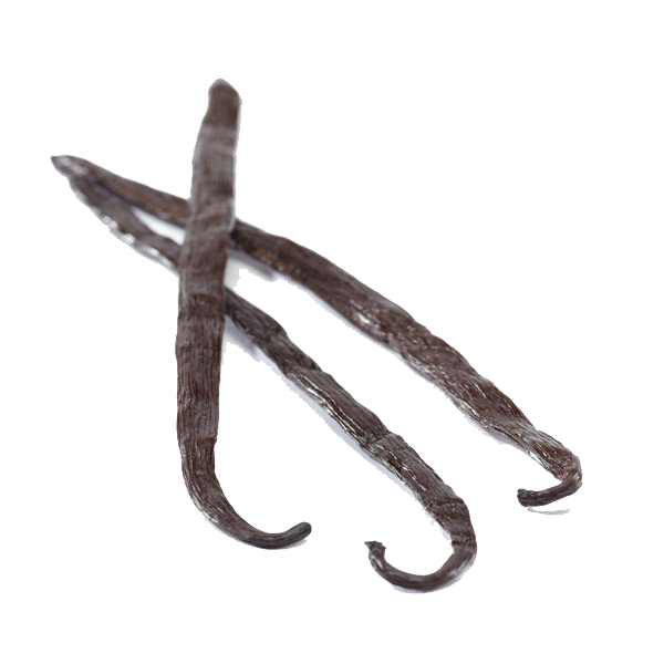Vanilla Bean Transparent PNG Image