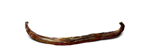 Vanilla Bean Transparent PNG Image