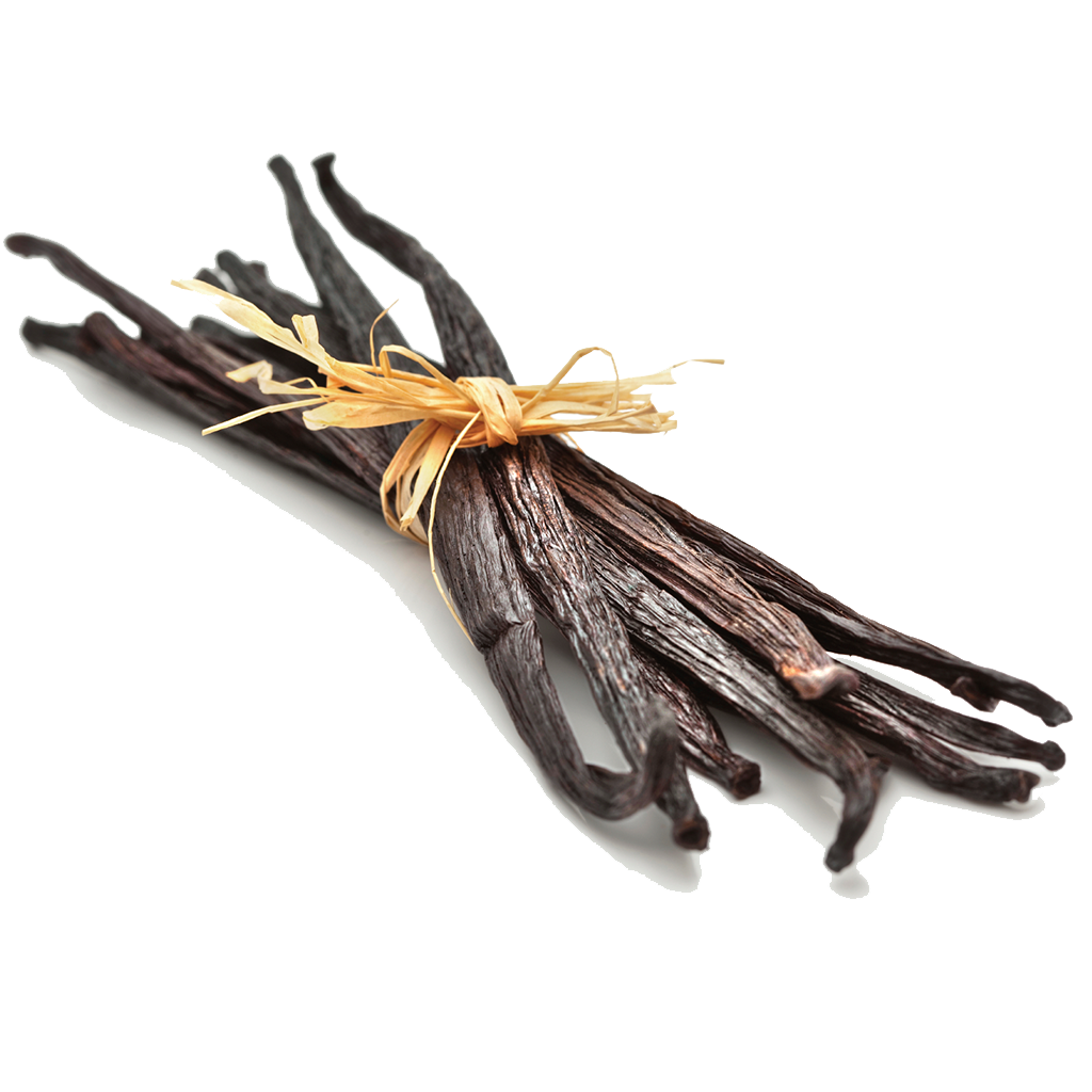 Vanilla Bean Transparent PNG Image