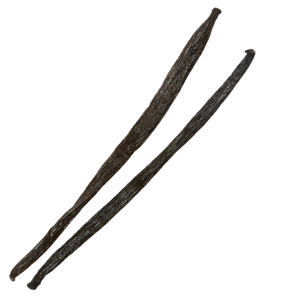 Vanilla Bean Transparent PNG Image