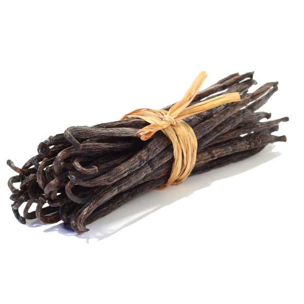 Vanilla Bean Transparent PNG Image