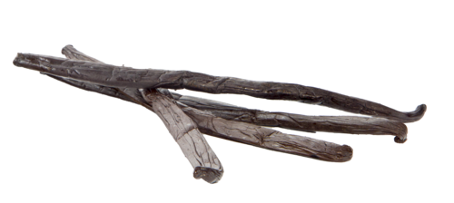 Vanilla Bean Background Transparent PNG Image
