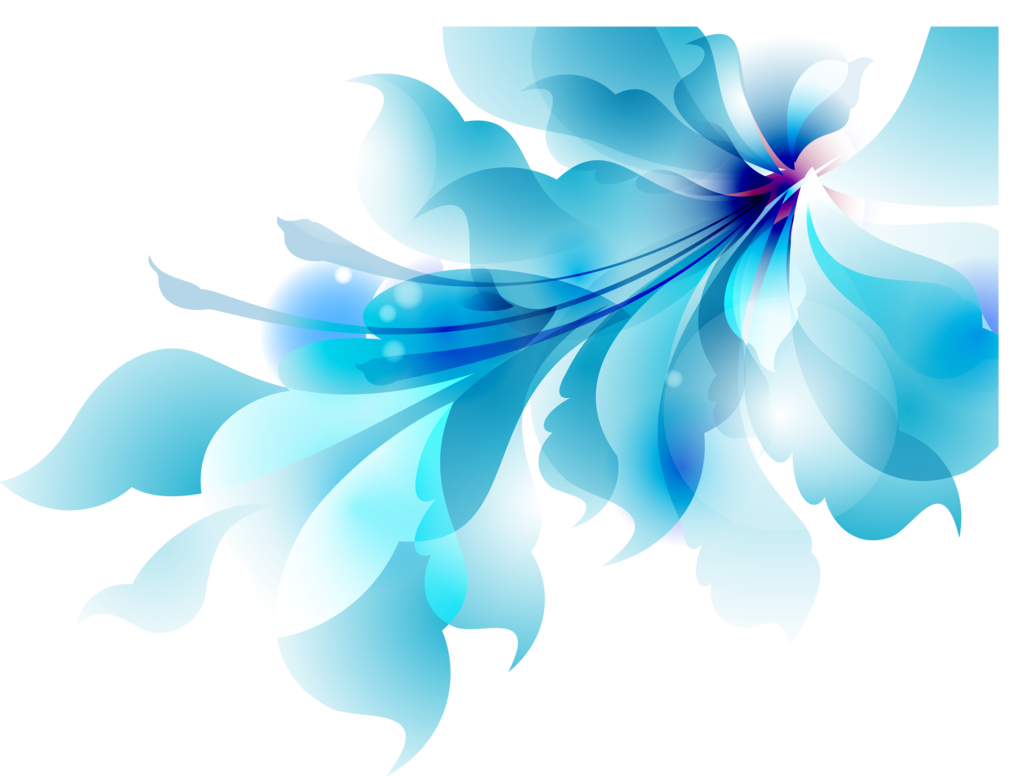 Vector Transparent PNG Image