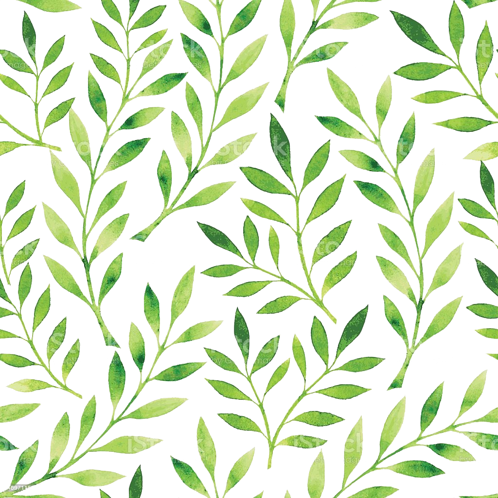 Pattern Vector Transparent PNG Image