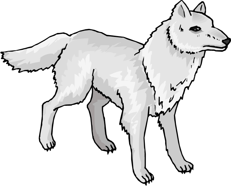 White Vector Fox Arctic Transparent PNG Image