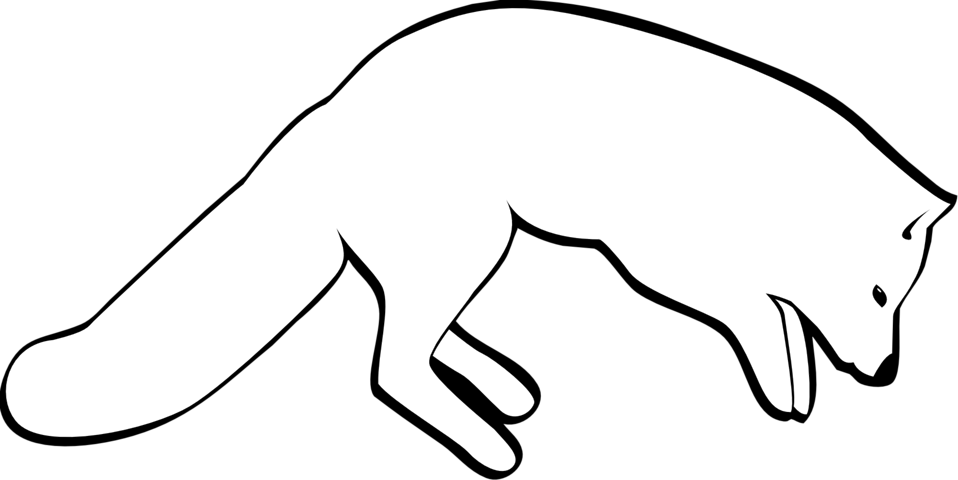White Vector Fox Arctic Transparent PNG Image