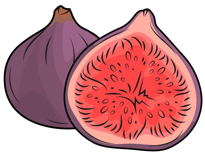 Vector Fig Transparent PNG Image