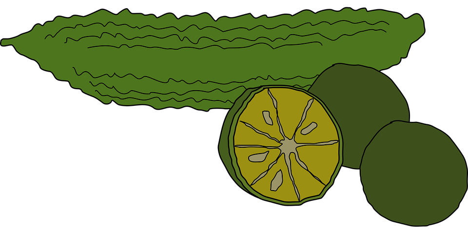 Gourd Vector Bitter Transparent PNG Image