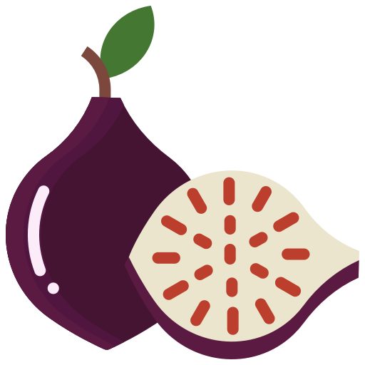 Vector Fig Transparent PNG Image