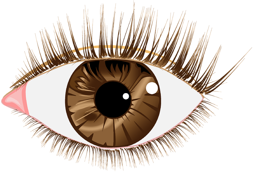 Eyes Vector Transparent PNG Image