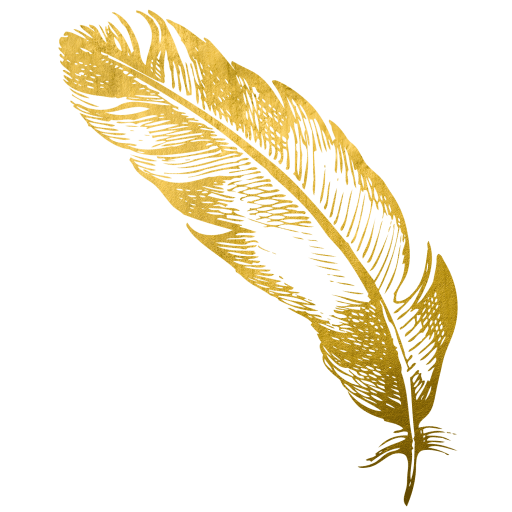 Feather Vector Transparent PNG Image