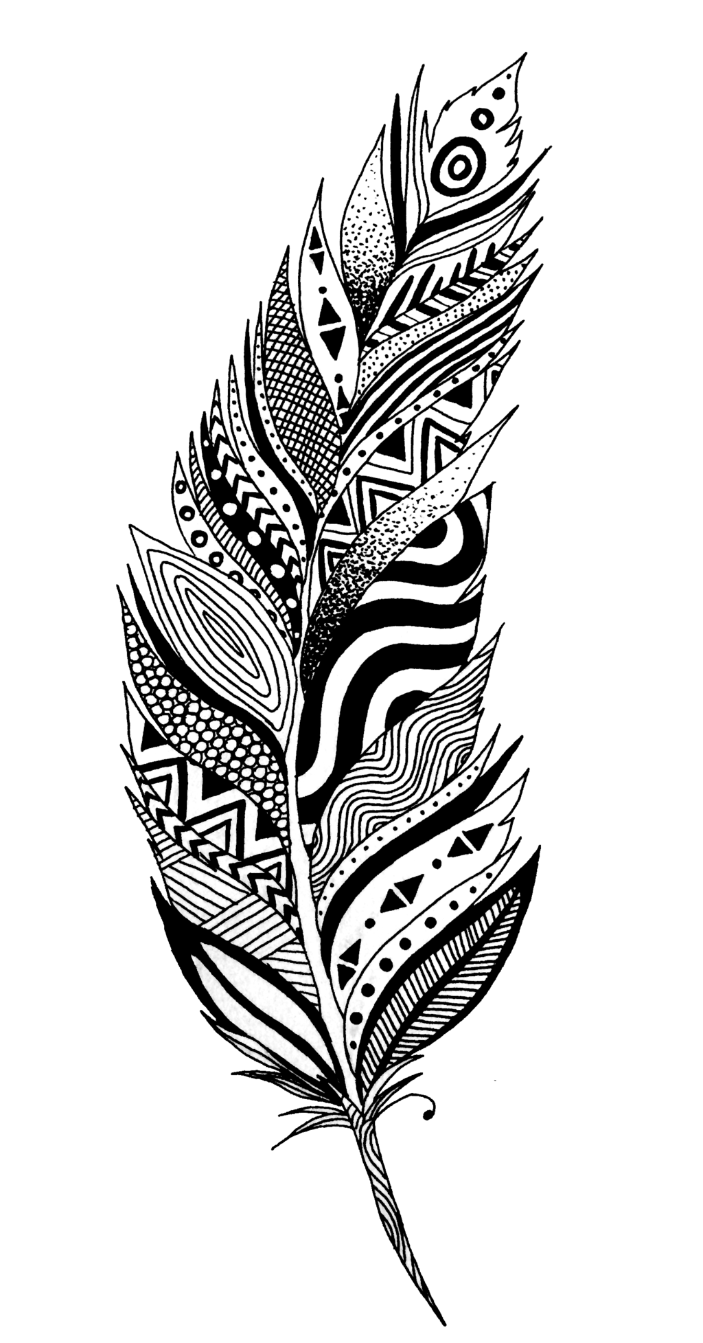 Feather Vector Transparent PNG Image