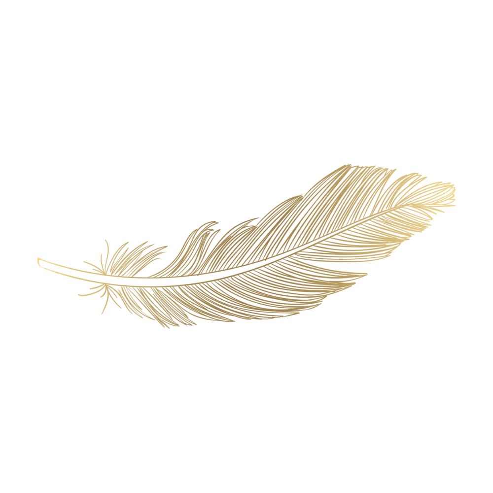 Feather Vector Transparent PNG Image
