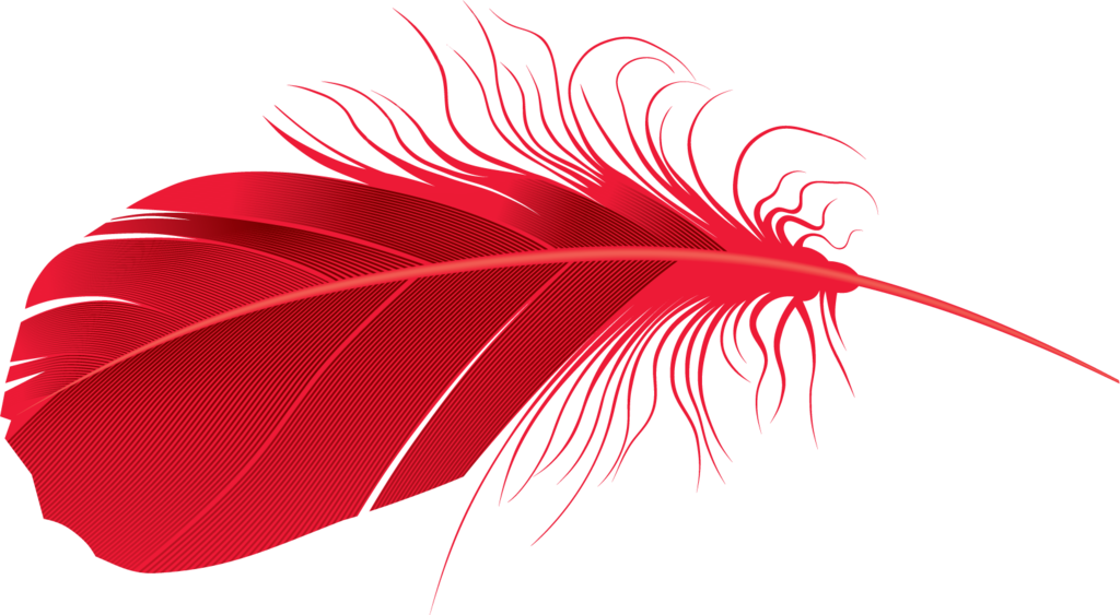 Feather Vector Transparent PNG Image