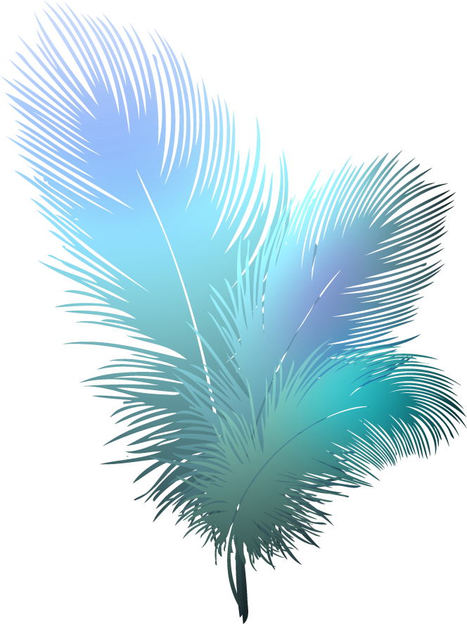 Feather Vector Transparent PNG Image
