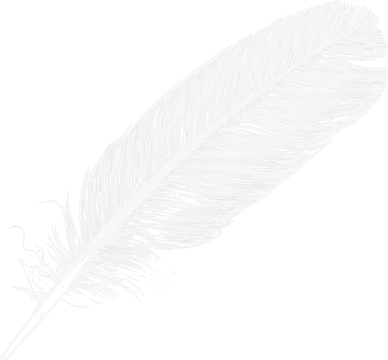 Feather Vector Transparent PNG Image