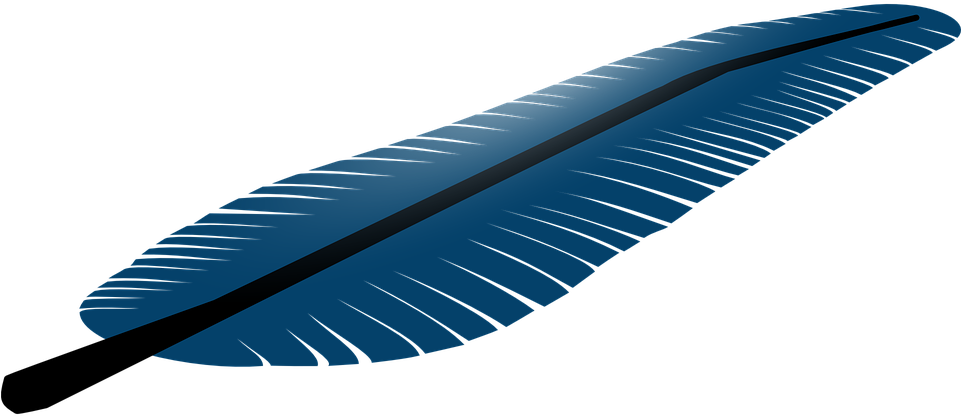 Blue Feather Vector Transparent PNG Image
