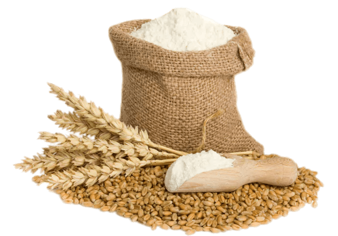 Flour Vector Wheat File Transparent PNG Image