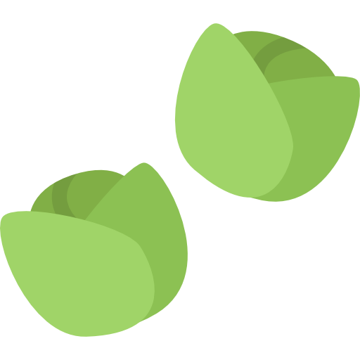Sprouts Vector Brussels Transparent PNG Image