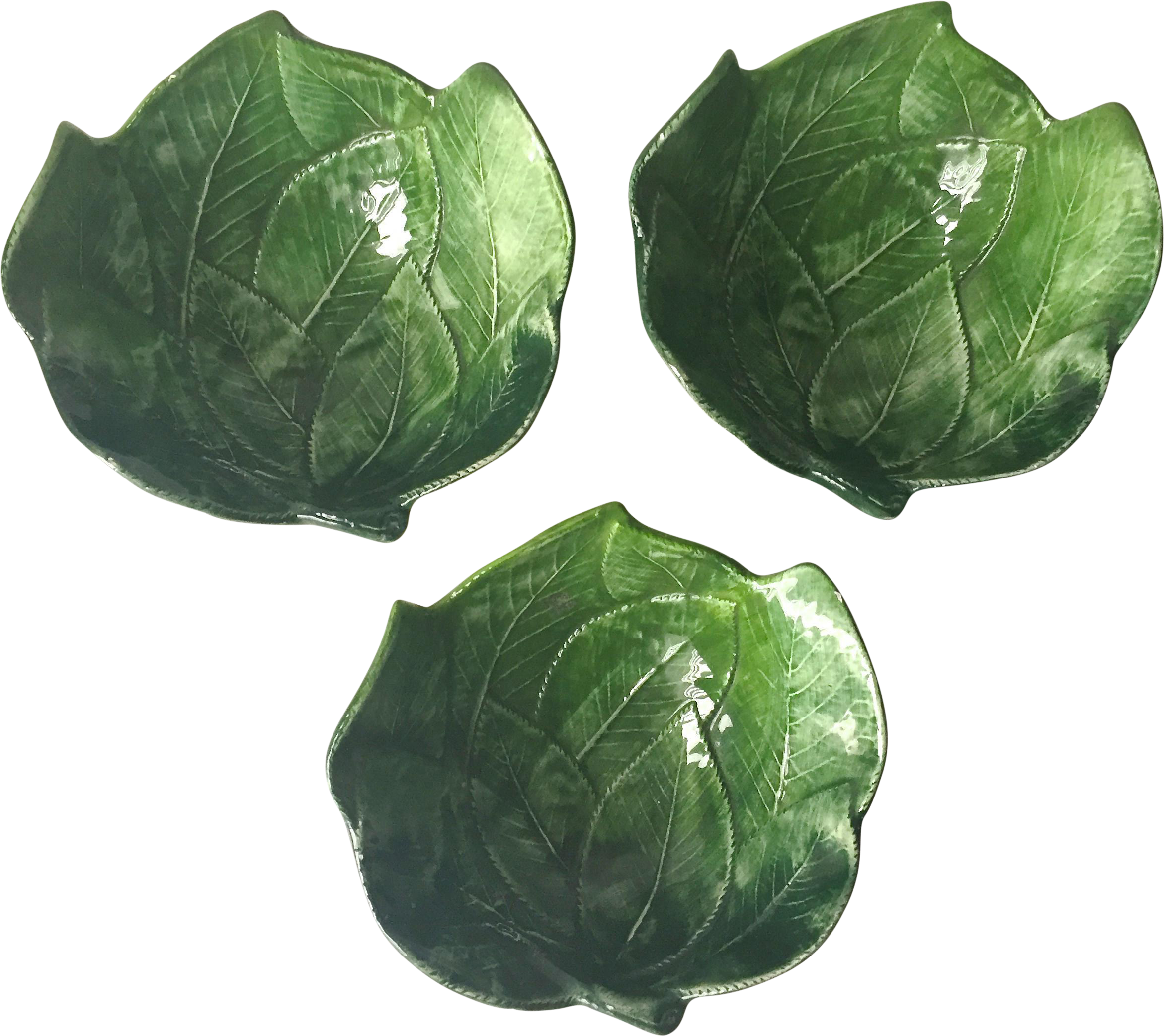 Sprouts Vector Brussels Transparent PNG Image