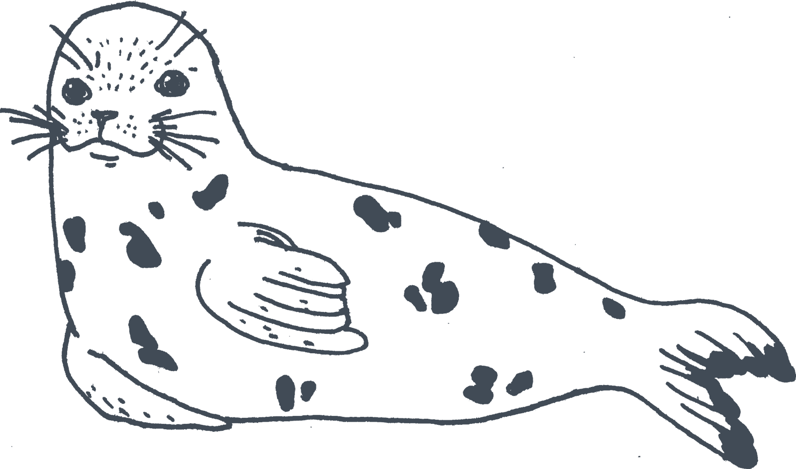 Harbor Vector Seal File Transparent PNG Image