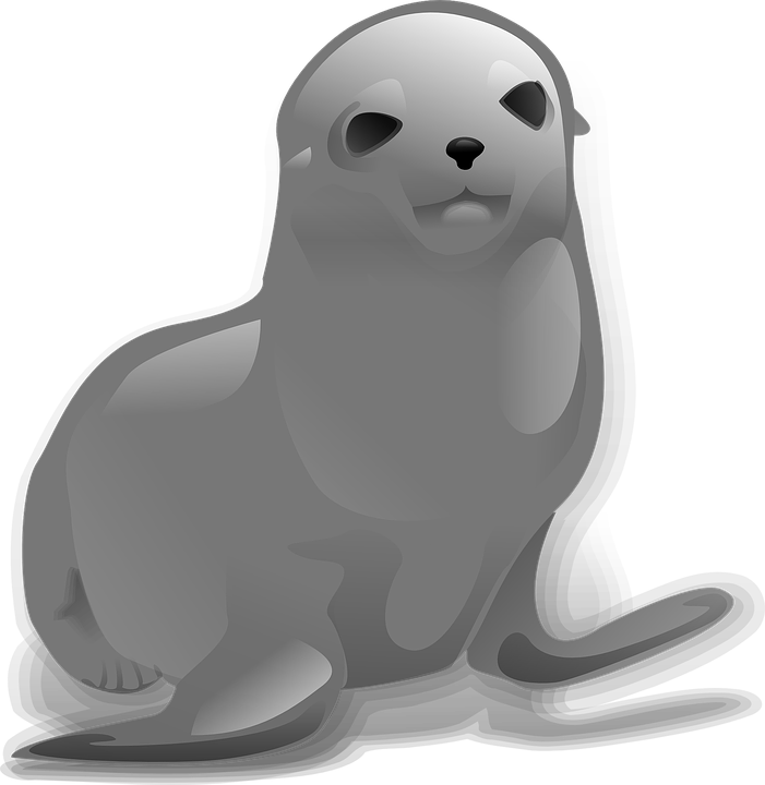 Harbor Vector Seal Transparent PNG Image