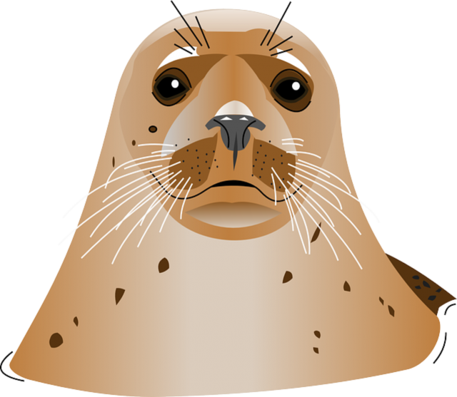 Harbor Vector Seal Transparent PNG Image