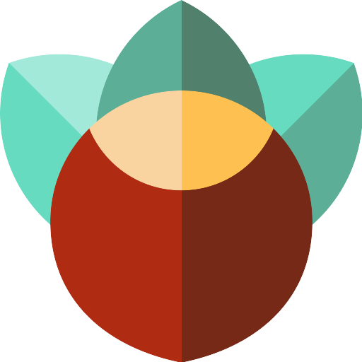 Vector Hazelnut Transparent PNG Image