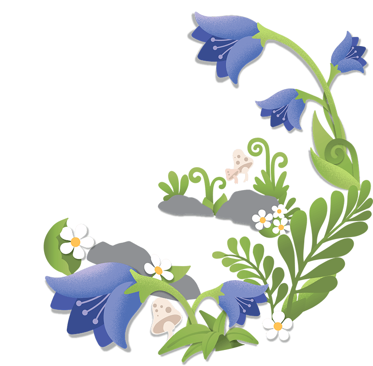 Vector Bluebells Transparent PNG Image