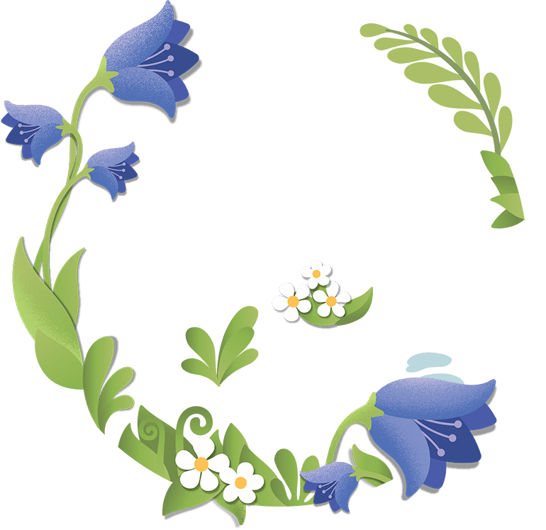 Vector Bluebells Transparent PNG Image