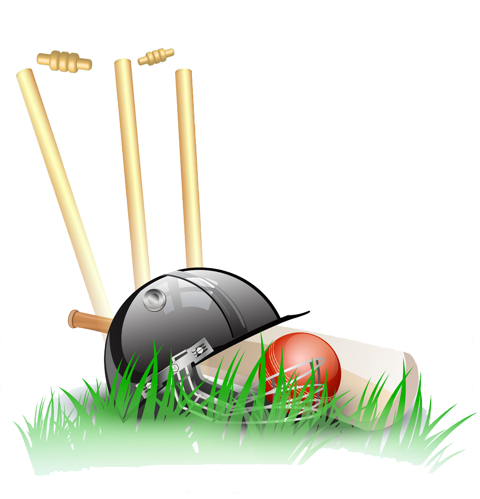 Vector Wicket Transparent PNG Image