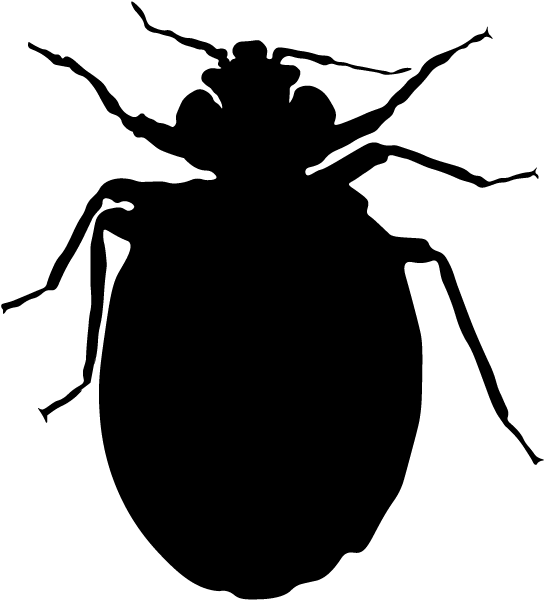 Vector Bug Bed Transparent PNG Image