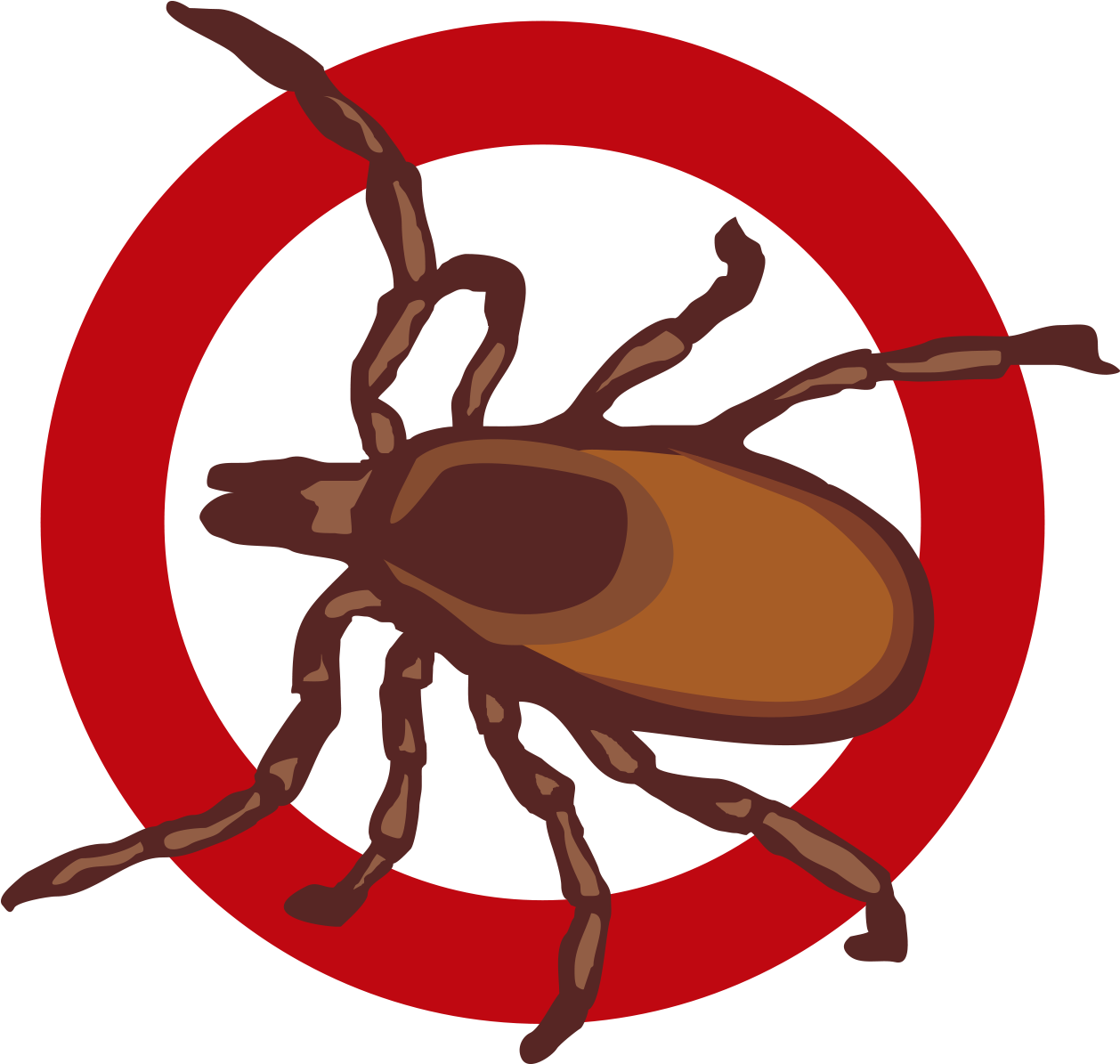 Vector Bug Bed Transparent PNG Image