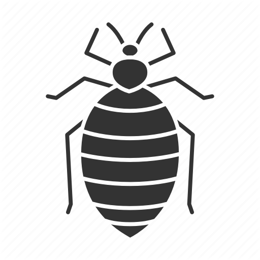 Vector Bug Bed Transparent PNG Image