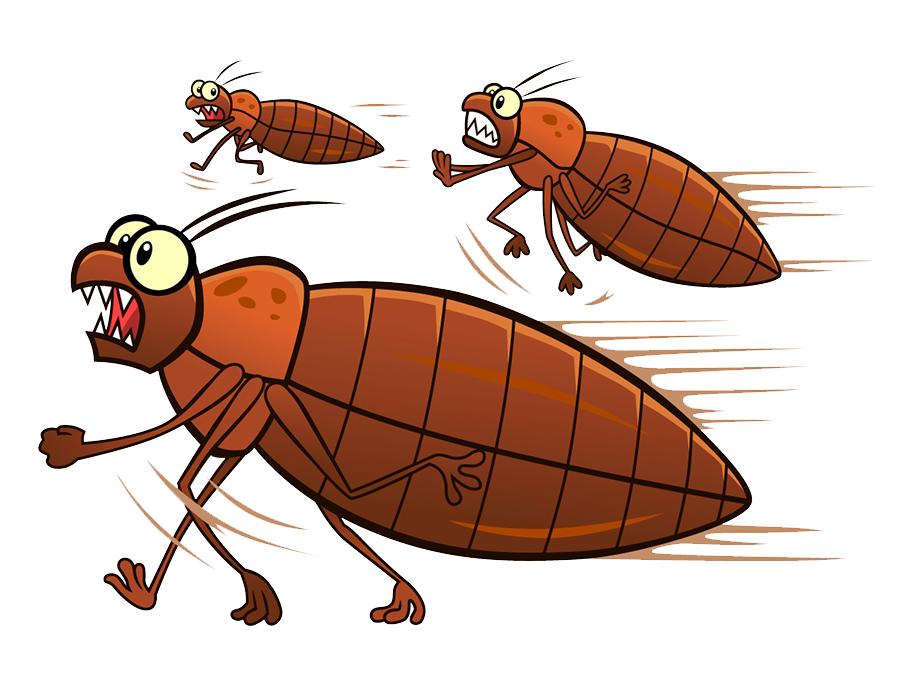 Vector Bug Bed Transparent PNG Image