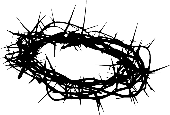 Vector Prickle Transparent PNG Image