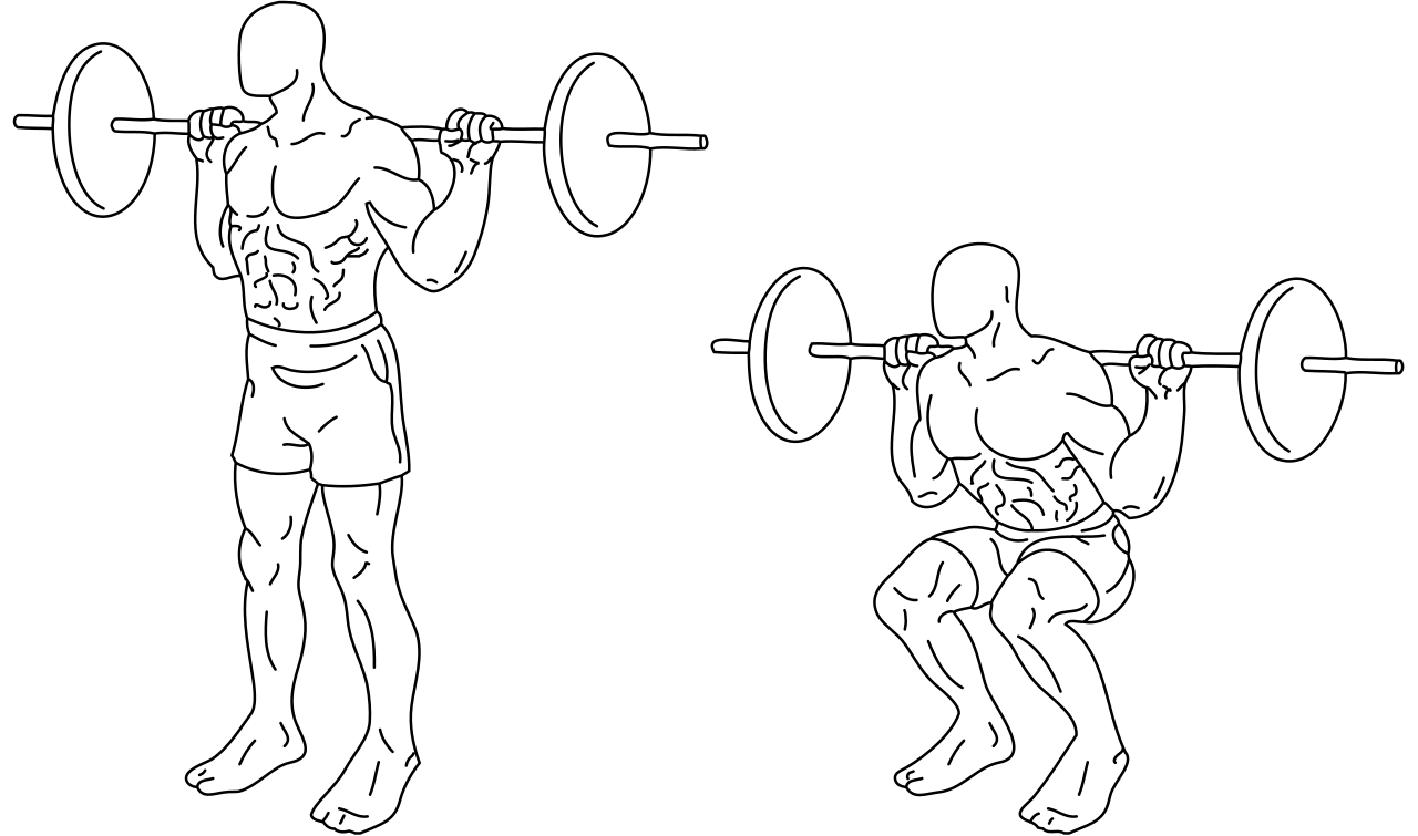 Vector Squat Transparent PNG Image