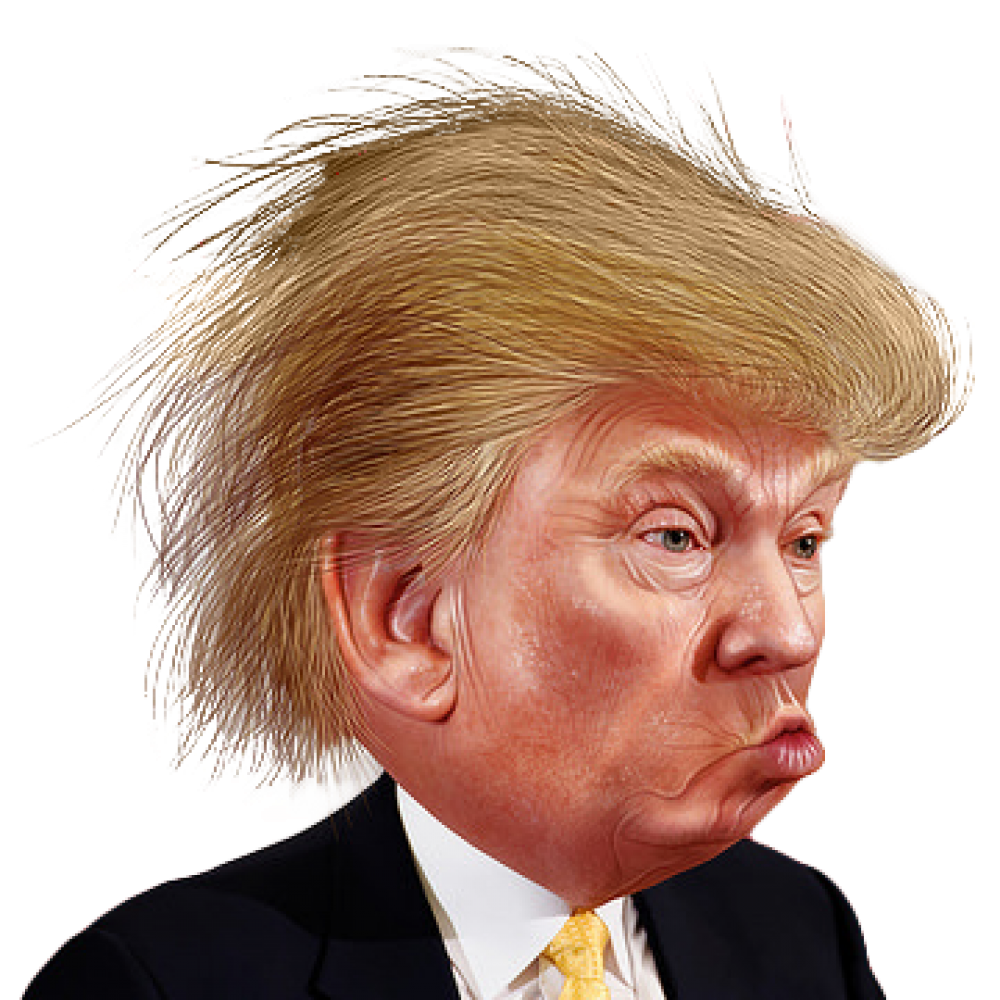Funny Vector Portrait Transparent PNG Image
