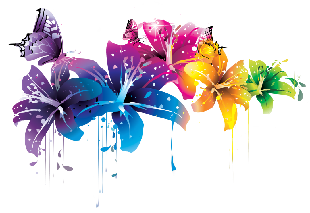 Vector Transparent PNG Image