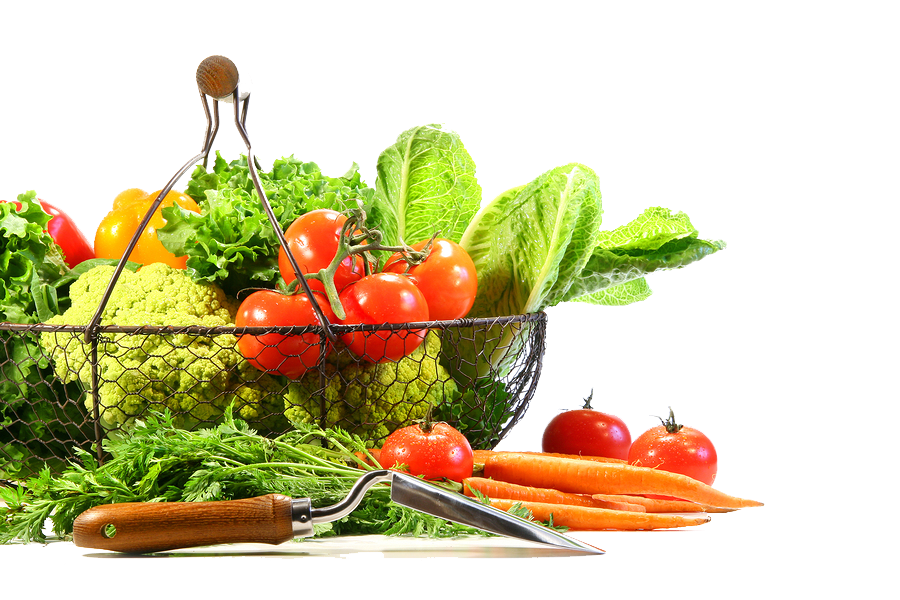 Vegetable Transparent PNG Image
