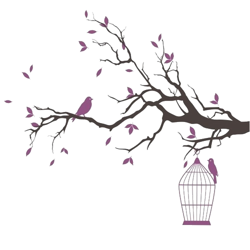 Pink Birdcage Plant Cage Bird Transparent PNG Image