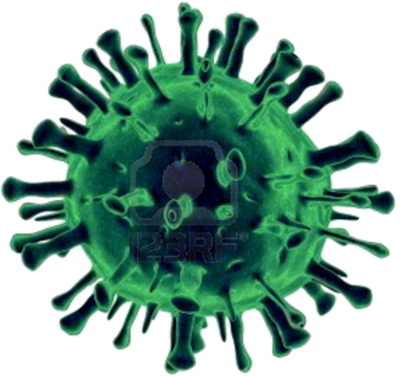 Virus Transparent PNG Image