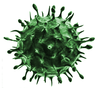 Virus Transparent PNG Image