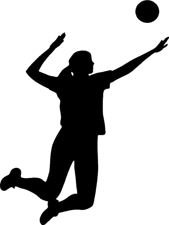 Volleyball Background Transparent PNG Image