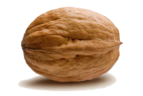 Walnut Transparent PNG Image